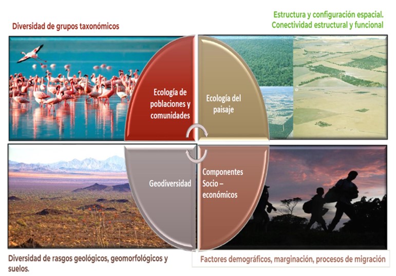 Indicadores ecológicos: Una estrategia para el conocer y monitorear la biodiversidad