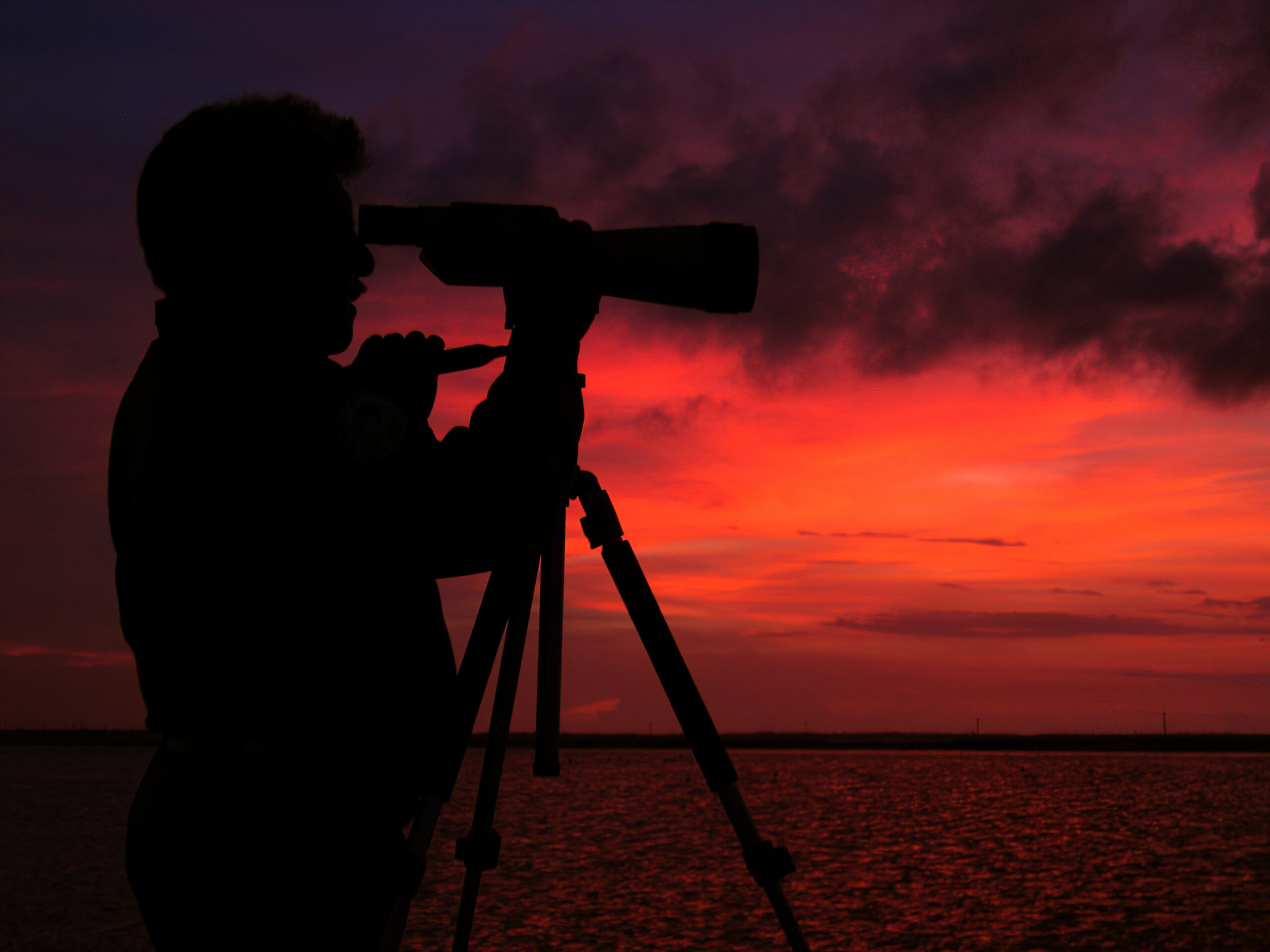 La fotografía como herramienta para la ciencia
